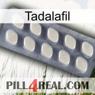 Tadalafil 08